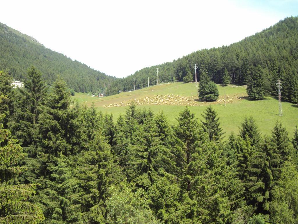 Hotel Des Alpes Castione della Presolana Phòng bức ảnh