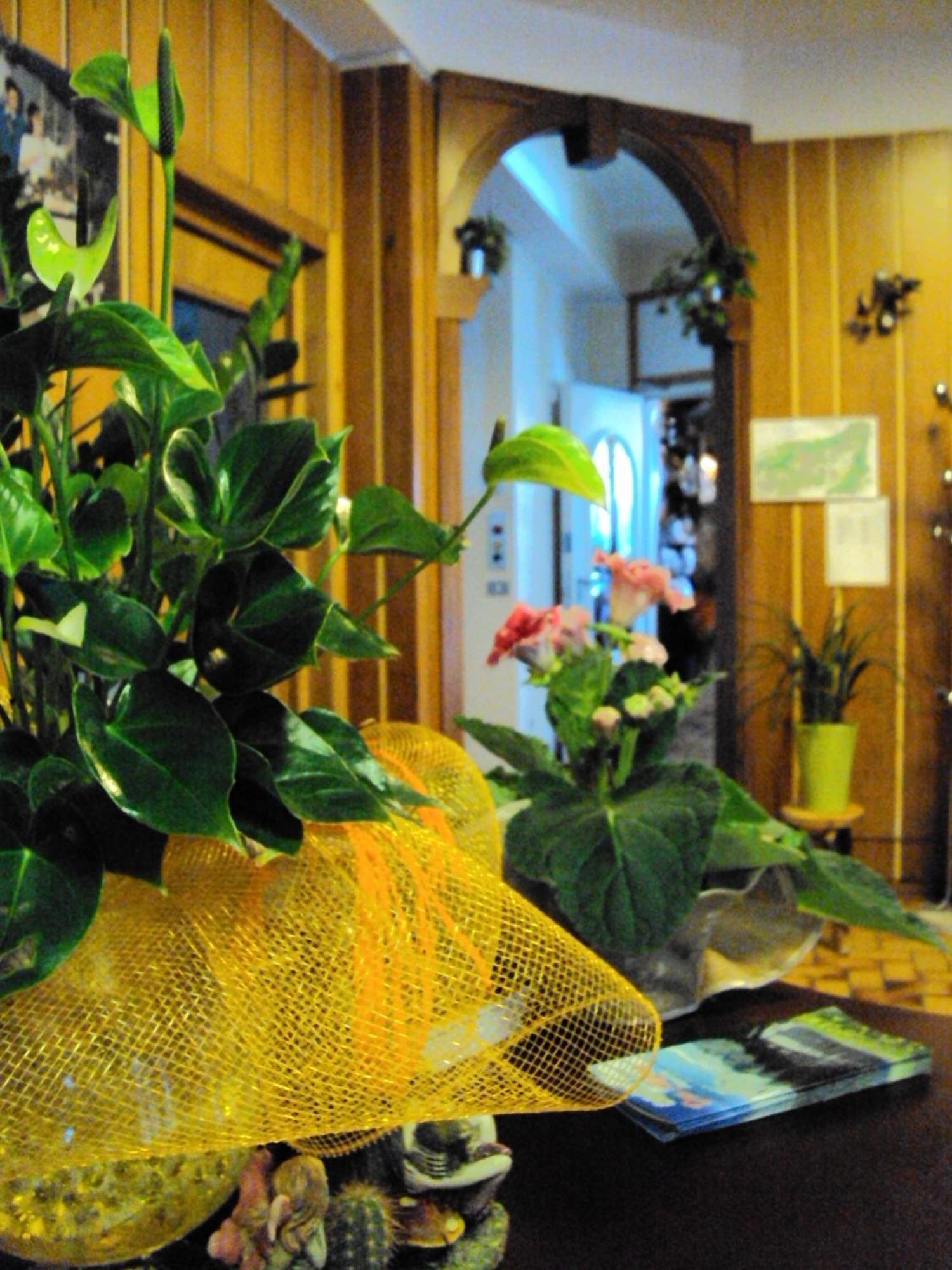 Hotel Des Alpes Castione della Presolana Ngoại thất bức ảnh