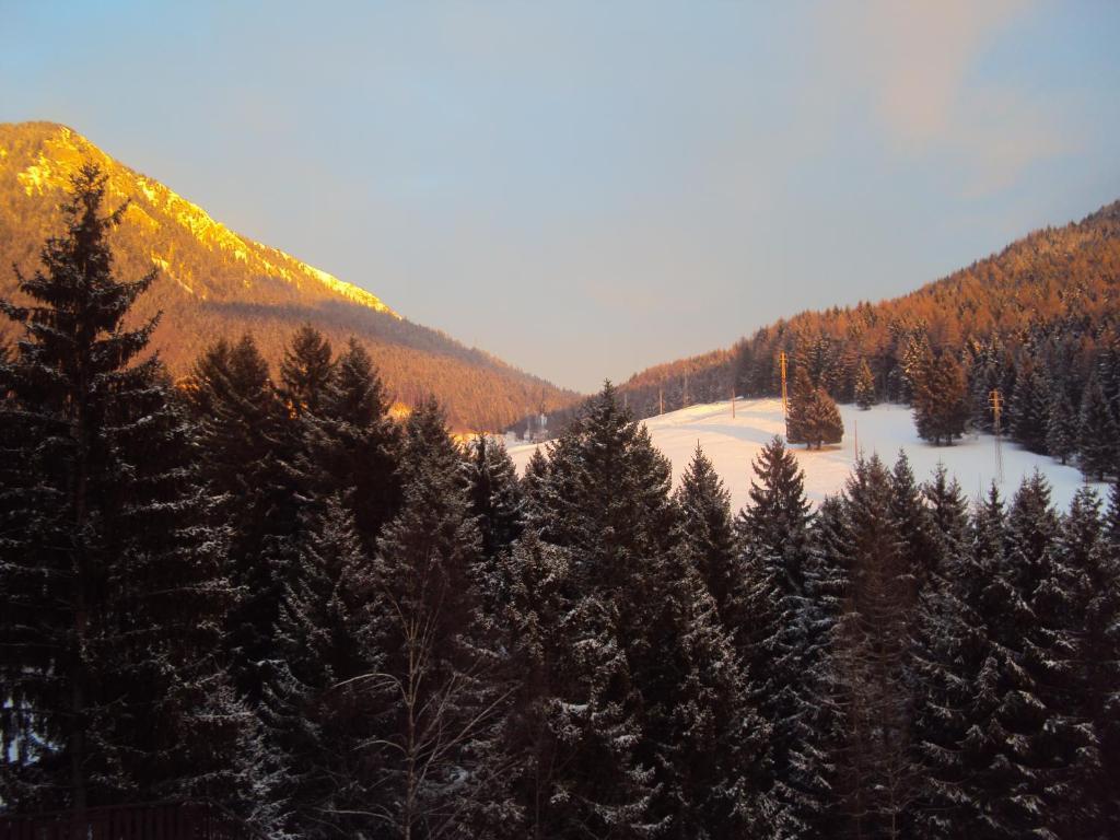 Hotel Des Alpes Castione della Presolana Phòng bức ảnh
