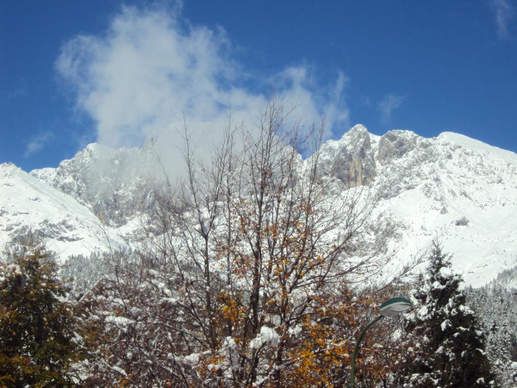 Hotel Des Alpes Castione della Presolana Phòng bức ảnh