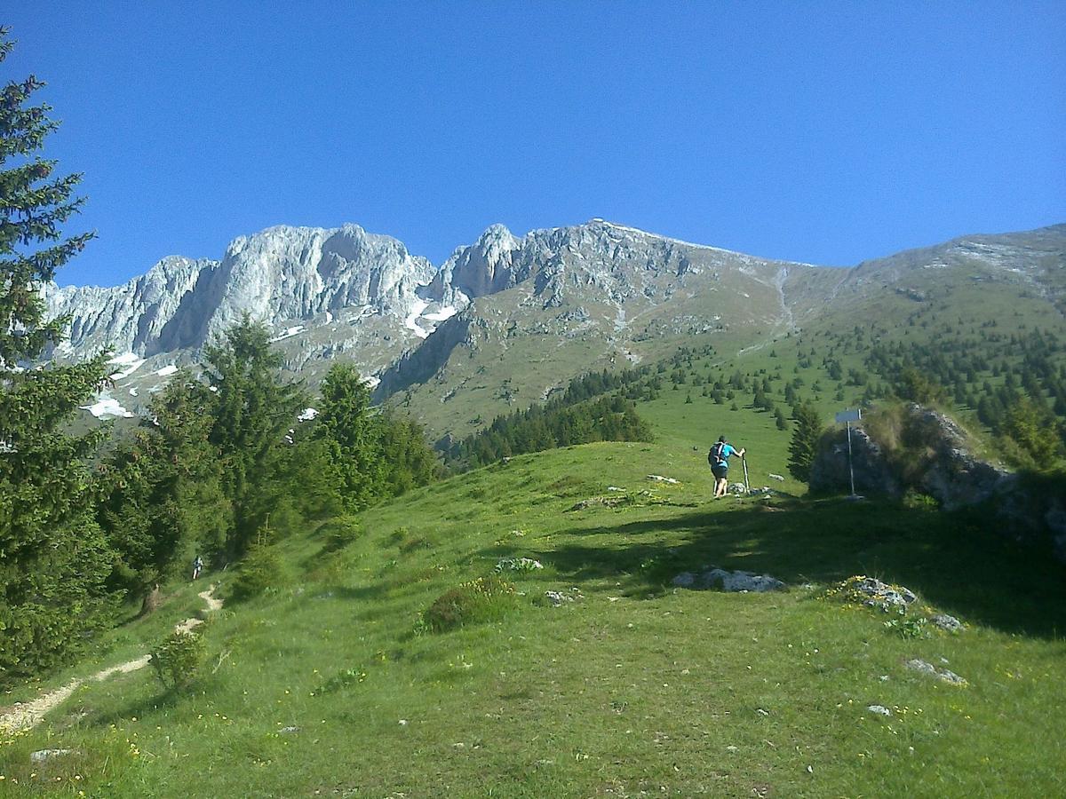 Hotel Des Alpes Castione della Presolana Ngoại thất bức ảnh