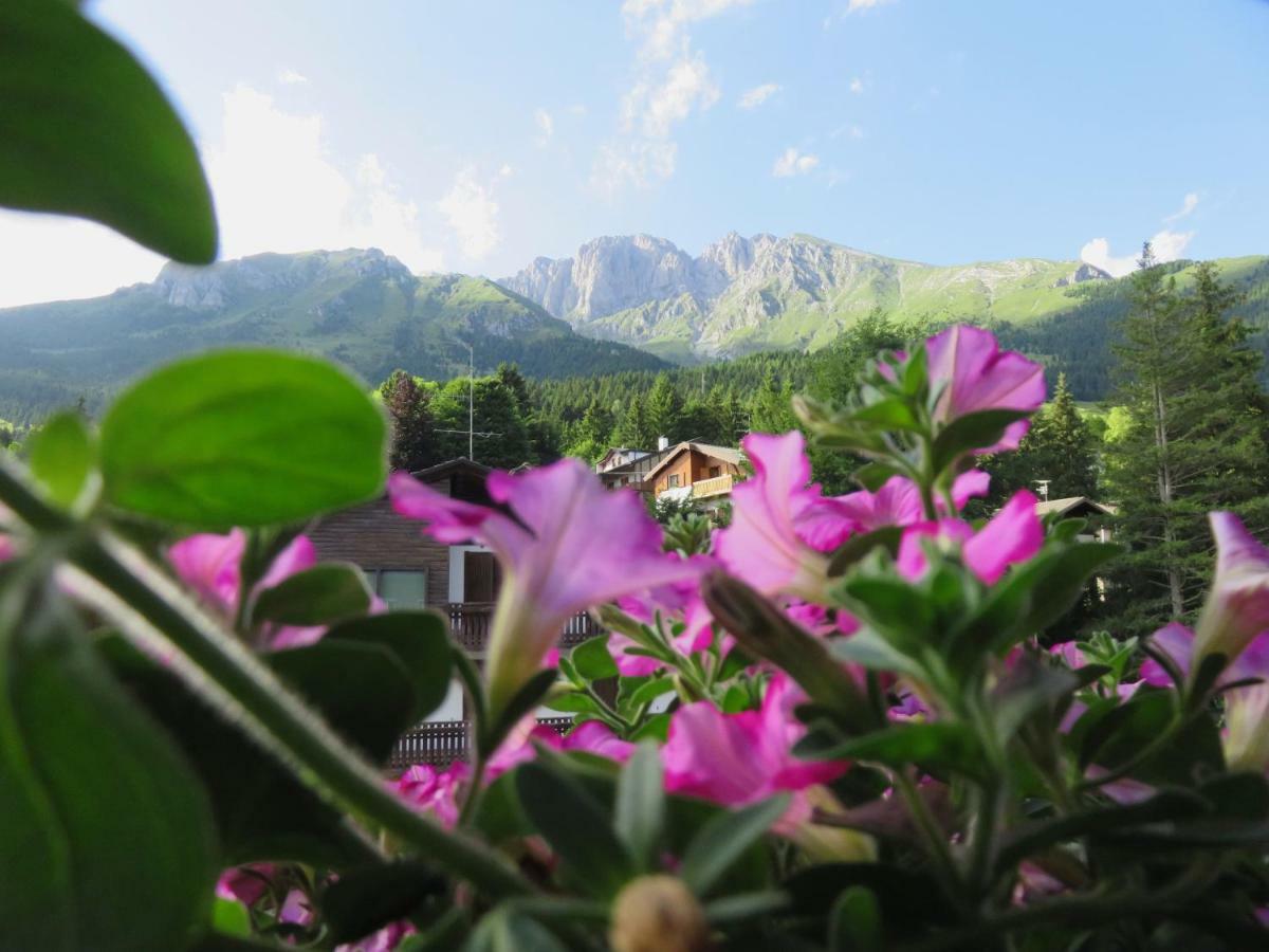 Hotel Des Alpes Castione della Presolana Ngoại thất bức ảnh